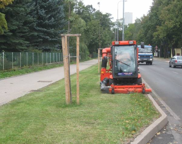 seceni-travy.jpg