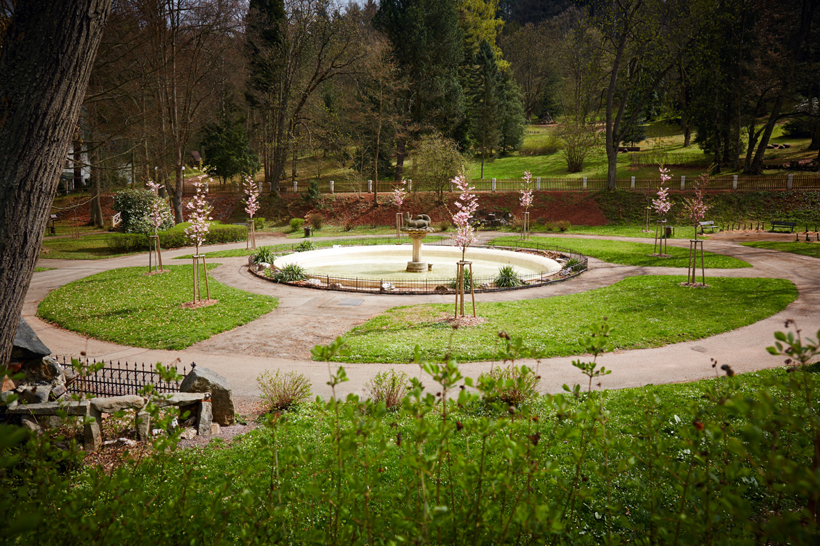 Městský park.jpg