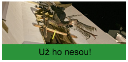 uz-ho-nesou.jpg