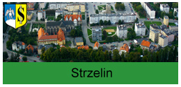 strzelin.jpg