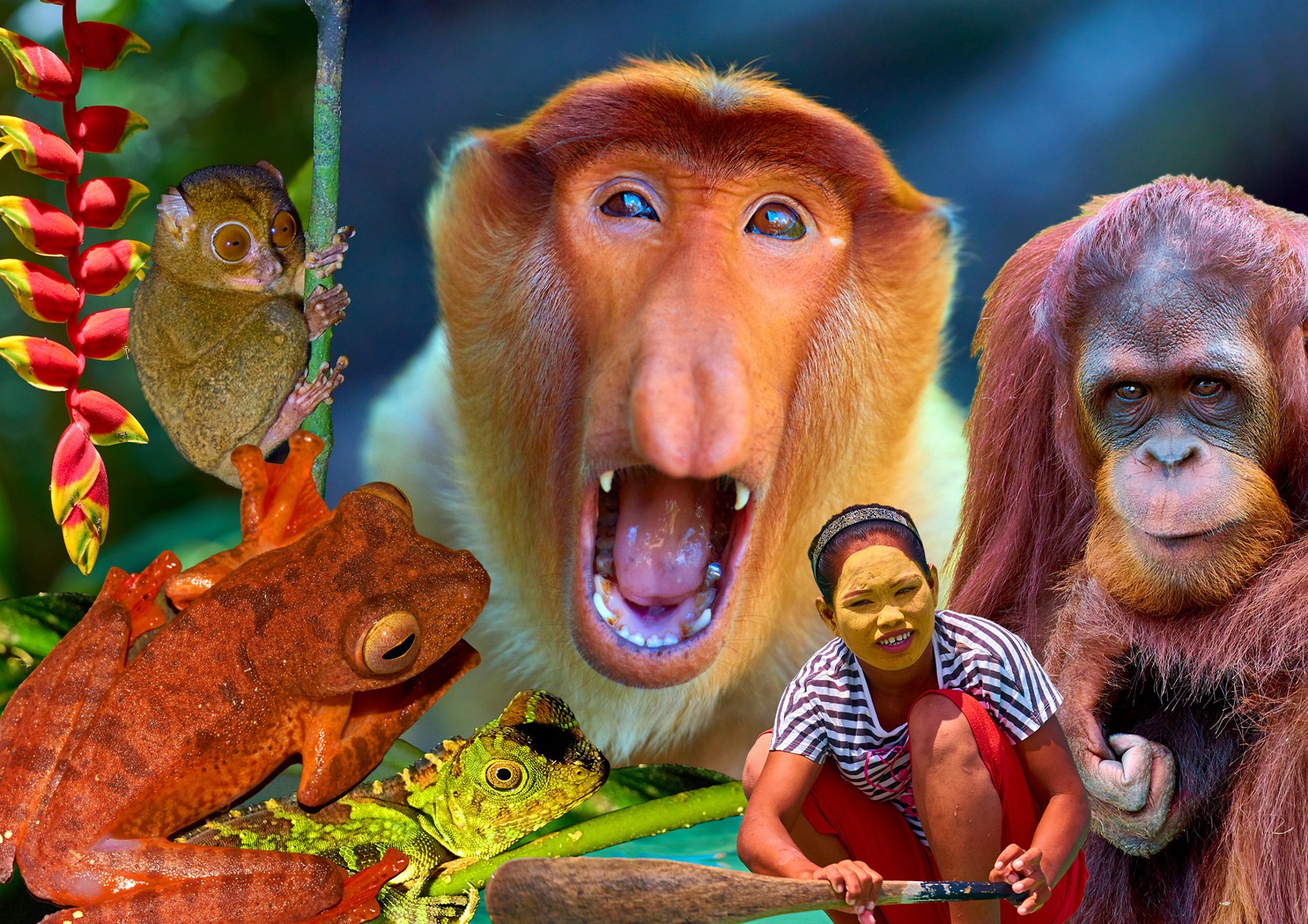 5551-expedice-borneo.jpg