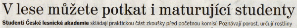 kn1a.gif