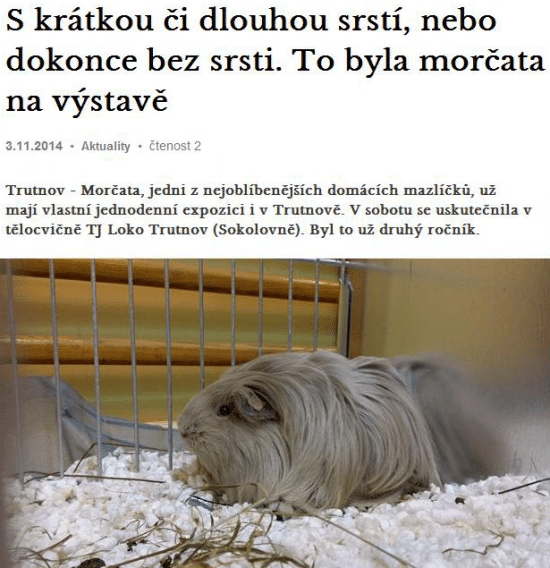 0311tr1a.gif