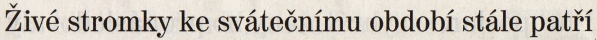 1912kn1a.gif
