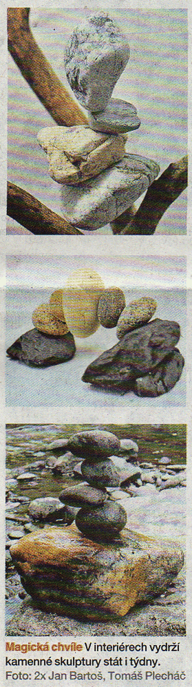 0206mf3d.gif