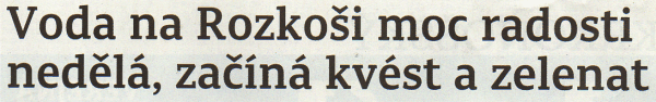 0108kn1b.gif
