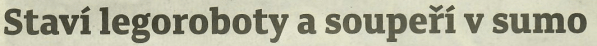 1710kn2a.gif