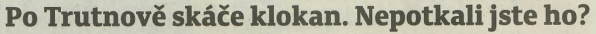 1809kn2a.gif